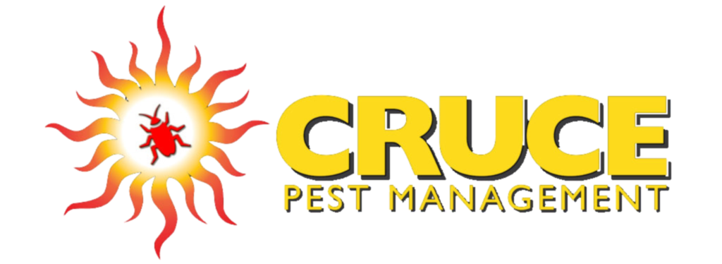 1 Rated Affordable Home Pest Control in Tampa Best Local Pest Control